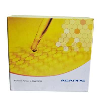 Untitled design - 2024-04-27T144226.390